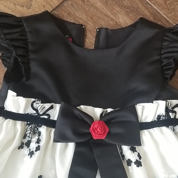 Fancy toddler dress (3T) - Picture 5 of 7